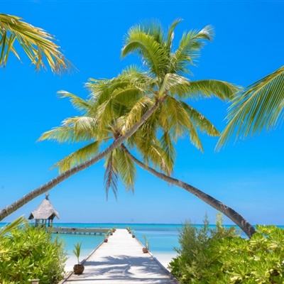 北单体彩网官网