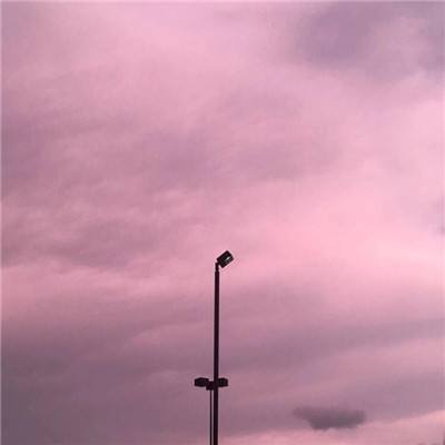 小罗代言米乐体育app手机app下载